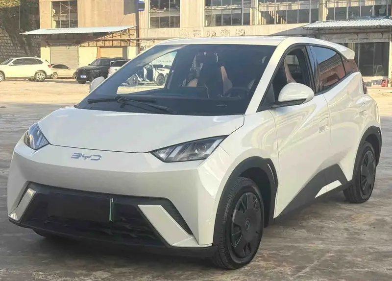 2024 BYD Seagull 305 km Honor Vitality