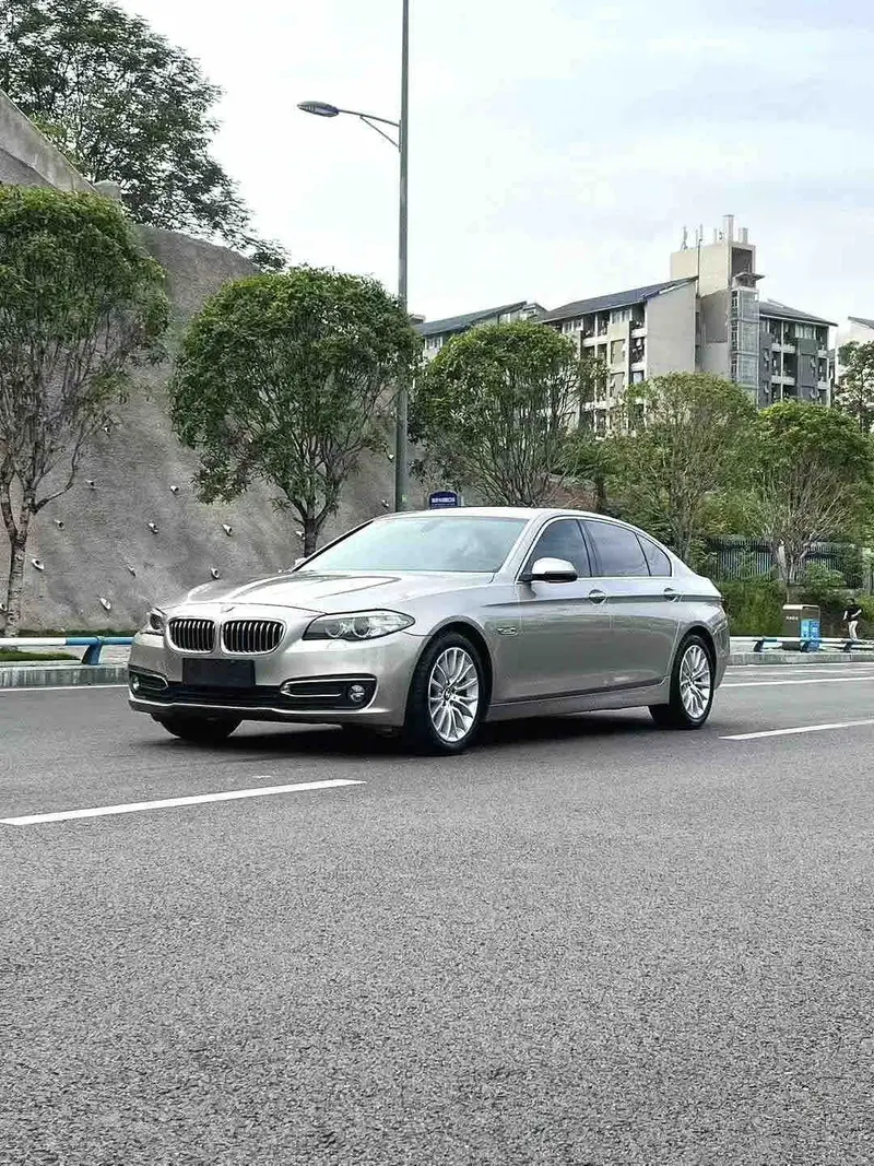 2017 BMW 5 Series 2.0T 525Li Luxury AT