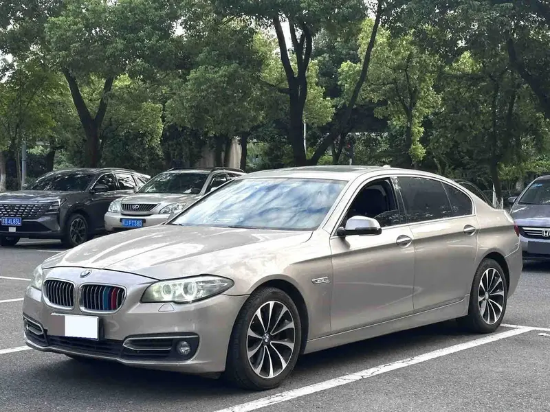 2014 BMW 5 Series 2.0T 525Li AT