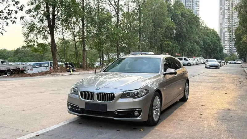 2017 BMW 5 Series 2.0T 525Li Luxury AT