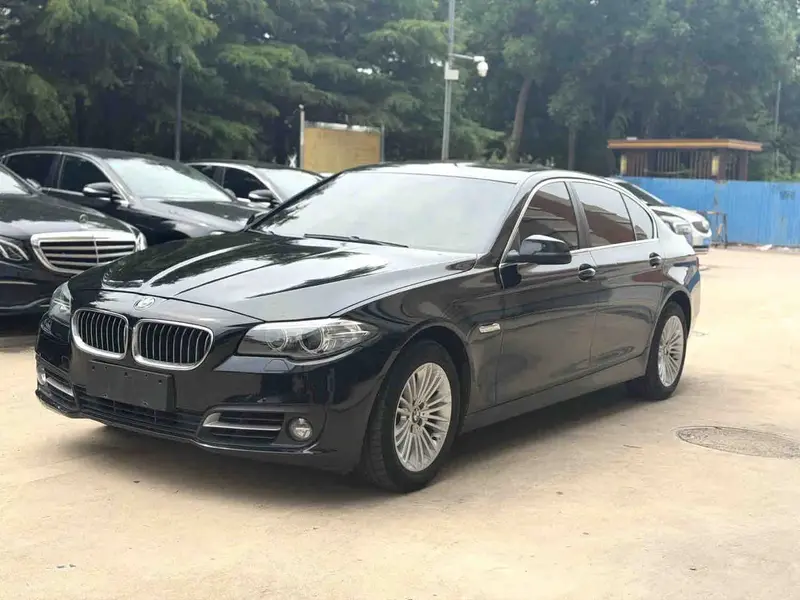 2014 BMW 5 Series 2.0T 525Li AT
