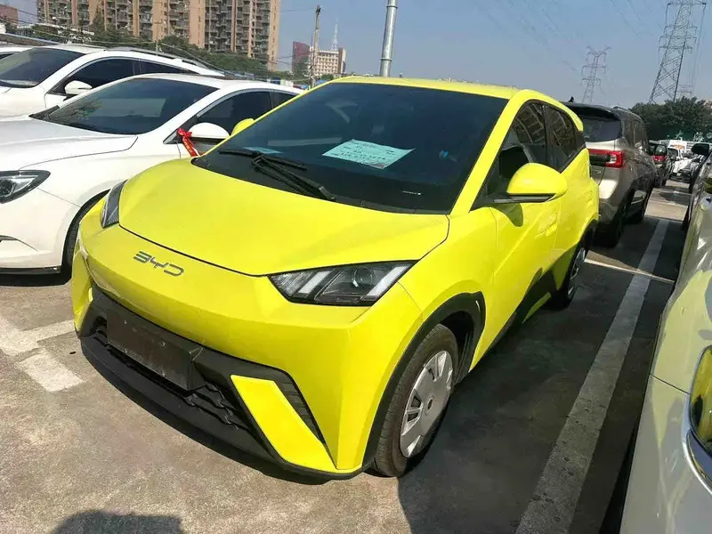 2023 BYD Seagull Vitality