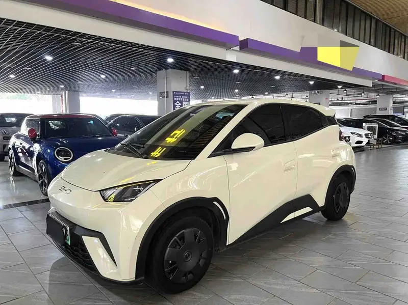2025 BYD Seagull 305 km Vitality