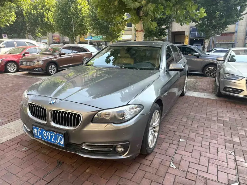 2013 BMW 5 Series 2.0T 525Li AT
