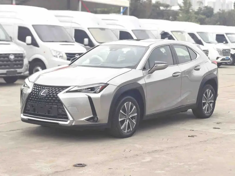 2020 Lexus UX 300e Electric