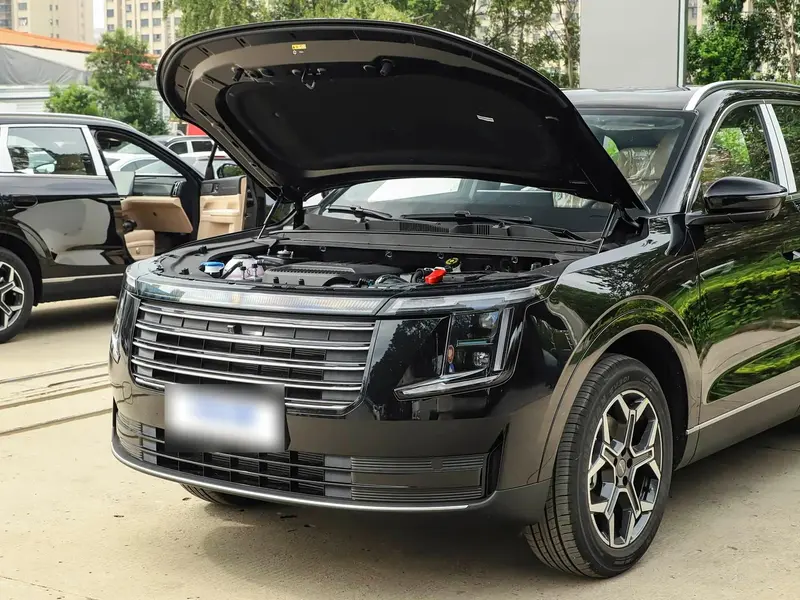 Vehicle photo 10