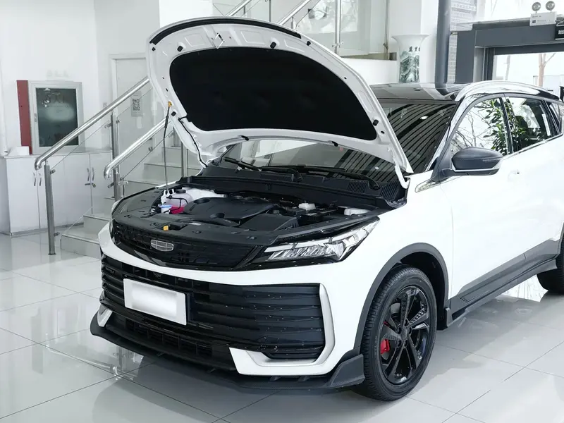 Vehicle photo 10